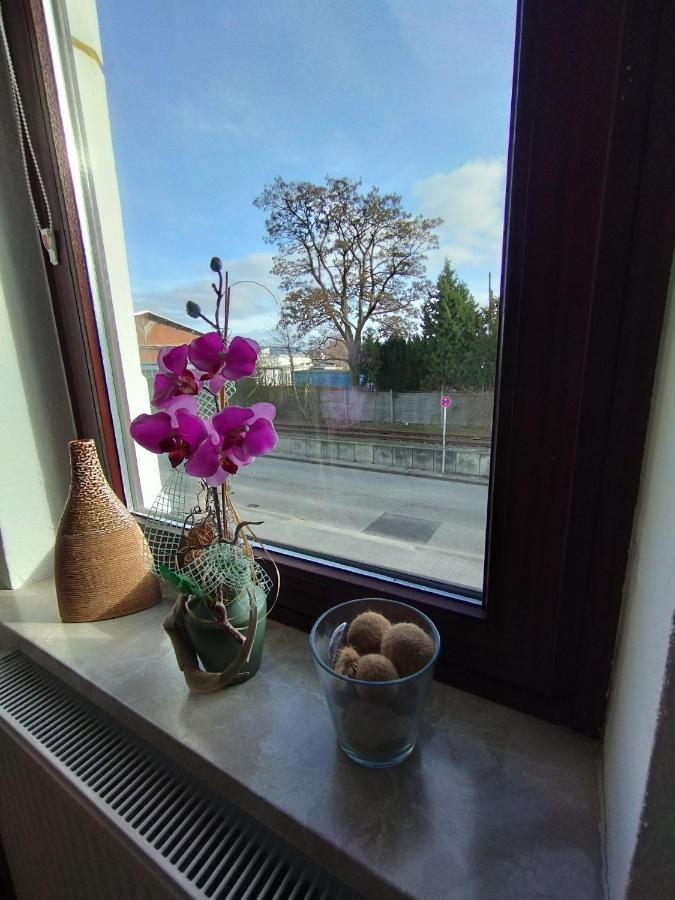 Appartamento Sunny Side Kiel Esterno foto